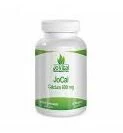 Jovital jocal 60 tab 